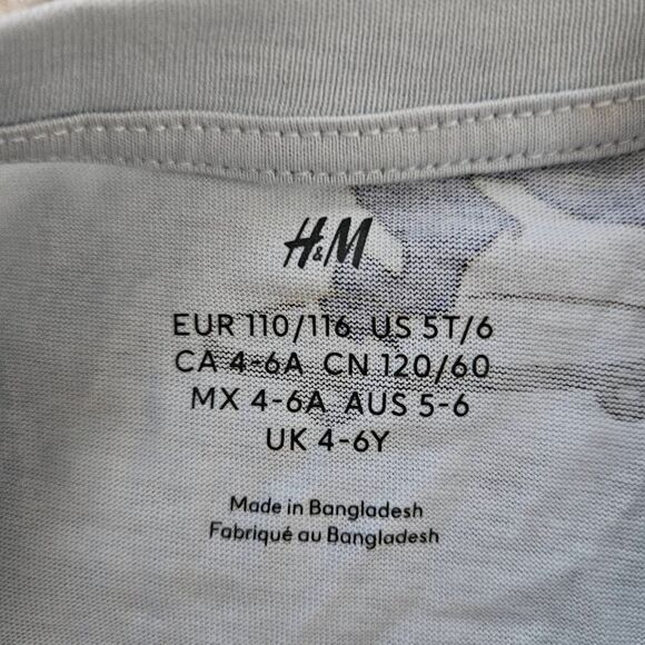 H&M Dinosaur Cotton Shorts Set Size 4-5Years - Picture 2 of 3